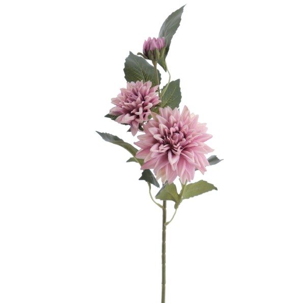 DALHIA X 3 56 CMS (2512-06)
