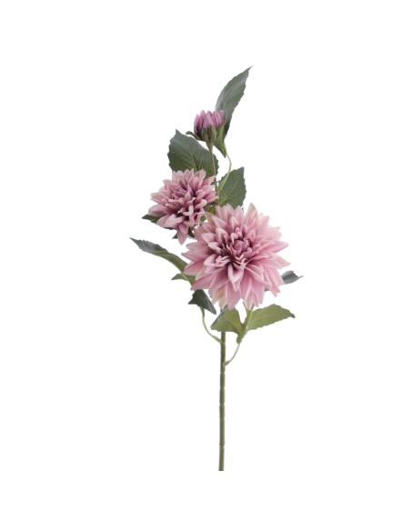 DALHIA X 3 56 CMS (2512-06)