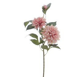 DALHIA X 3 56 CMS (2512-12)