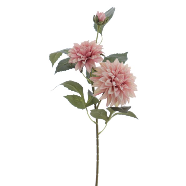 DALHIA X 3 56 CMS (2512-12)