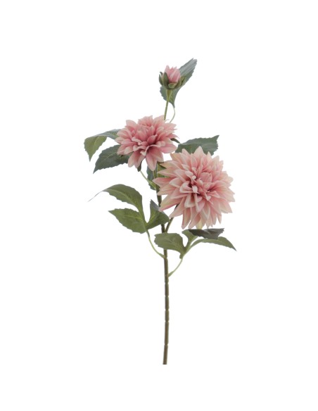 DALHIA X 3 56 CMS (2512-12)