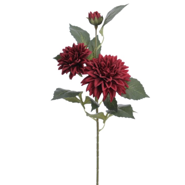 DALHIA X 3 56 CMS (2512-38)