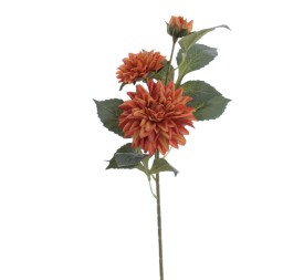 DALHIA X 3 56 CMS (2512-51)