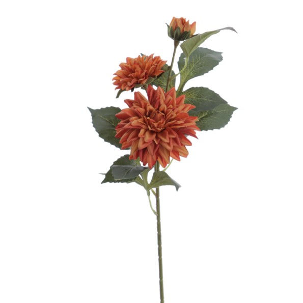 DALHIA X 3 56 CMS (2512-51)