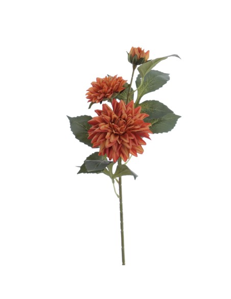 DALHIA X 3 56 CMS (2512-51)