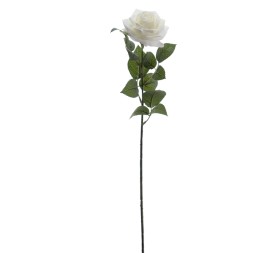 ROSA 64 CMS (5121-01)