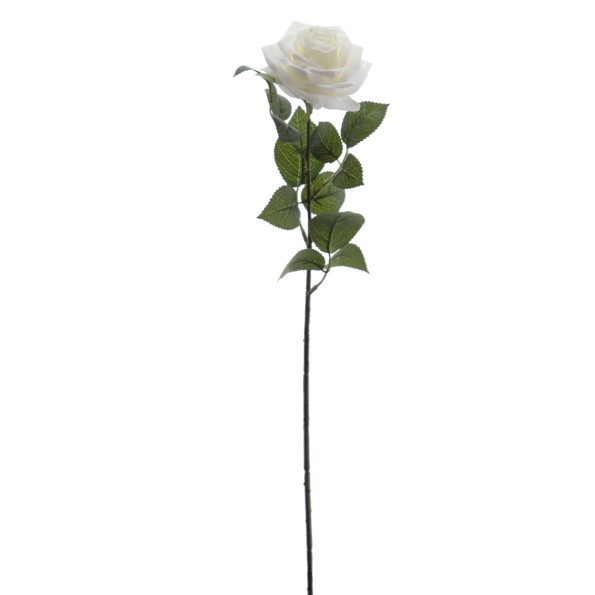 ROSA 64 CMS (5121-01)