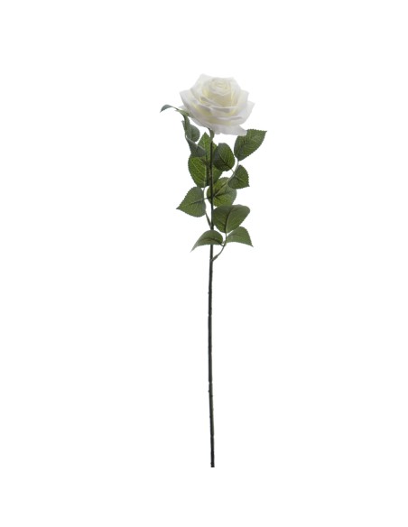ROSA 64 CMS (5121-01)