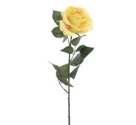 ROSA 64 CMS (5121-02)