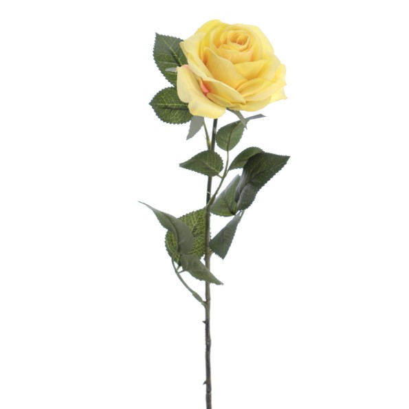 ROSA 64 CMS (5121-02)
