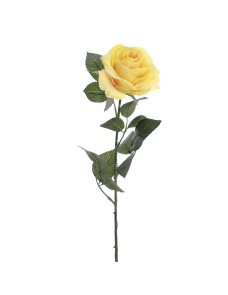 ROSA 64 CMS (5121-02)