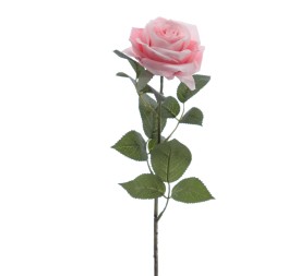 ROSA 64 CMS (5121-12)