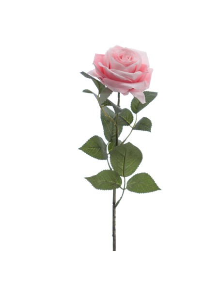 ROSA 64 CMS (5121-12)