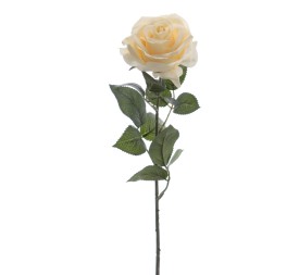 ROSA 64 CMS (5121-31)