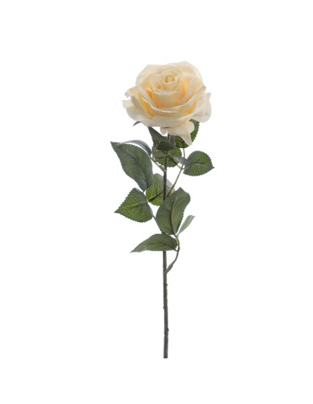 ROSA 64 CMS (5121-31)