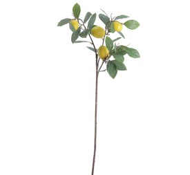 RAMA LIMONES 83 CMS (6006-02)