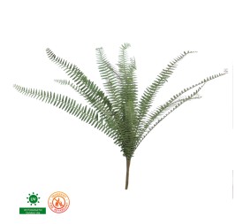 HELECHO (FR) (UV) 66 CMS (6513-09)