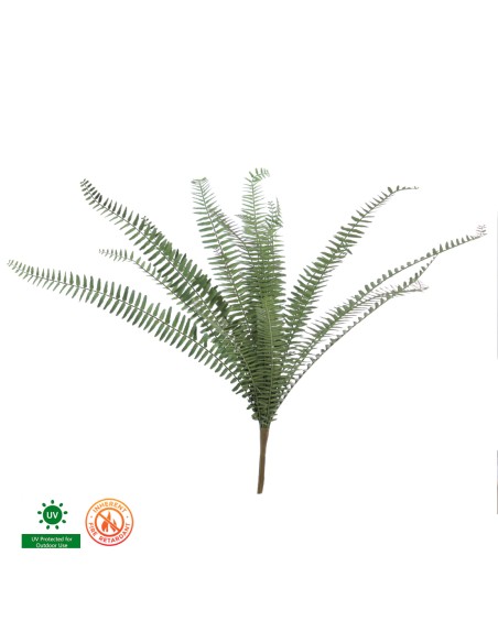 HELECHO (FR) (UV) 66 CMS (6513-09)