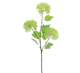 VIBURNUM X 3 68 CMS (6991-09)