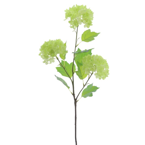 VIBURNUM X 3 68 CMS (6991-09)