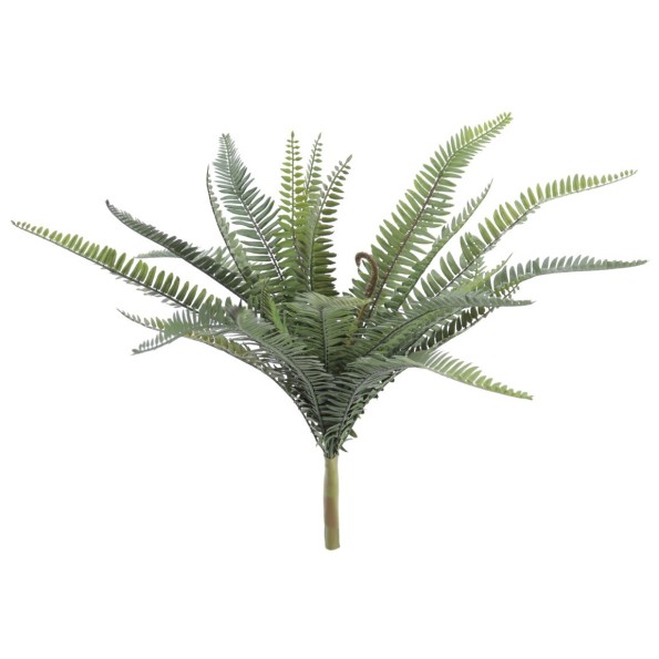 HELECHO 57 CMS (7108-09)