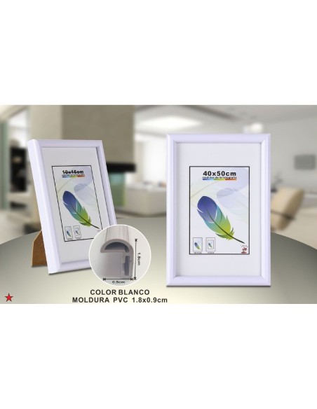 PORTAFOTO PLATA PVC-601 40*50CM(6/12)