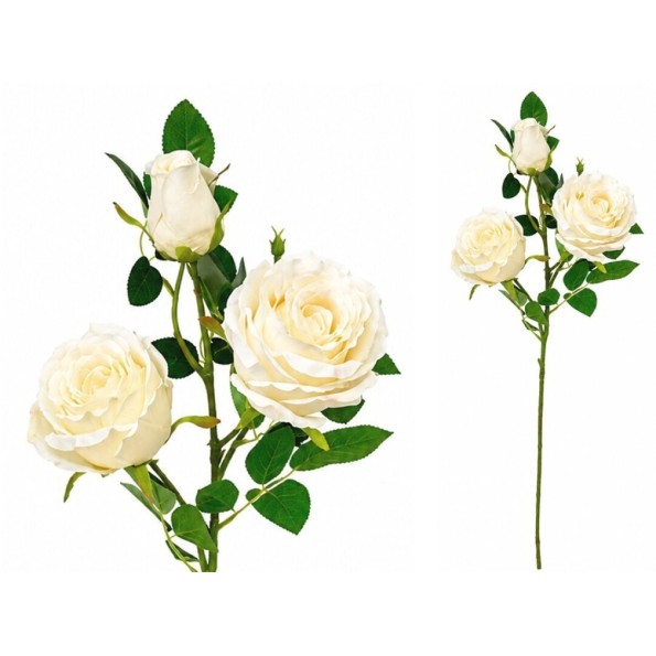 VARA ROSAS-CAPULLO X 3-81 CM (CREMA)