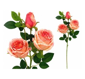 VARA ROSAS-CAPULLO X 3-81 CM (TE)