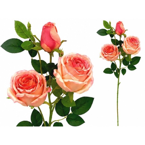 VARA ROSAS-CAPULLO X 3-81 CM (TE)