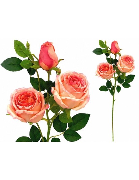 VARA ROSAS-CAPULLO X 3-81 CM (TE)