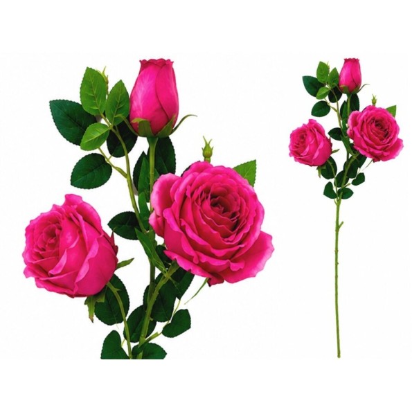 VARA ROSAS-CAPULLO X 3-81 CM (FUCSIA)