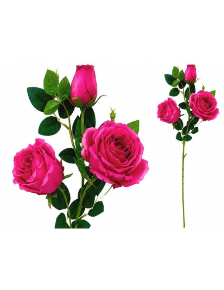 VARA ROSAS-CAPULLO X 3-81 CM (FUCSIA)