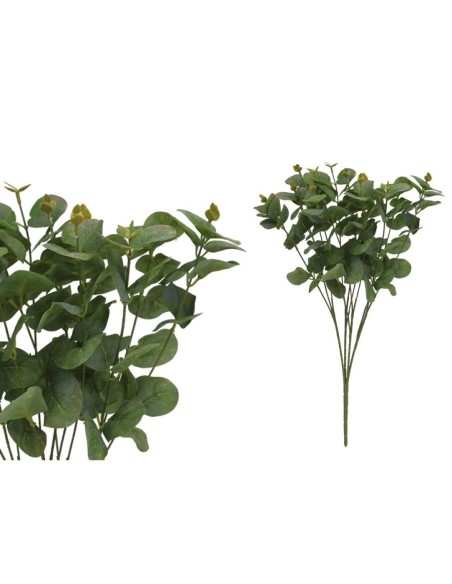 RAMO EUCALIPTO X 12 - 50 CM (VERDE/CL)