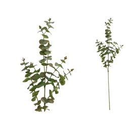 VARA EUCALIPTO X 6 - 90 CM (VERDE/CL)