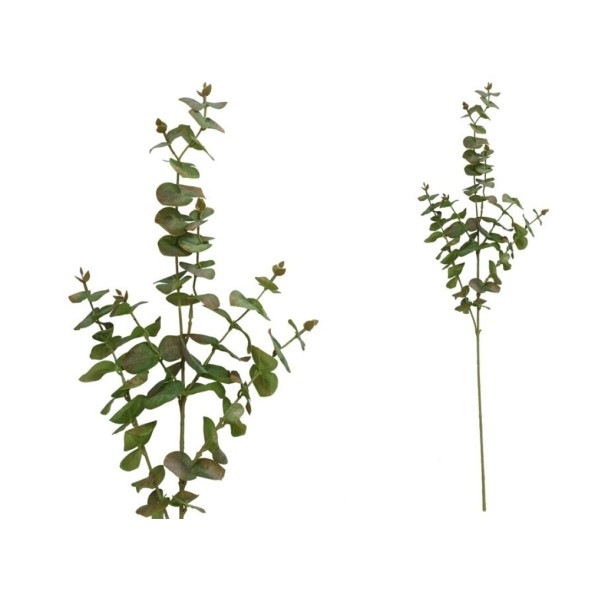 VARA EUCALIPTO X 6 - 90 CM (VERDE/CL)