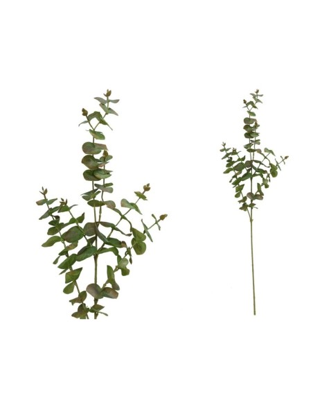 VARA EUCALIPTO X 6 - 90 CM (VERDE/CL)