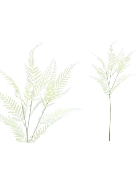 VARA HELECHO X 12 - 81 CM (BLANCO)