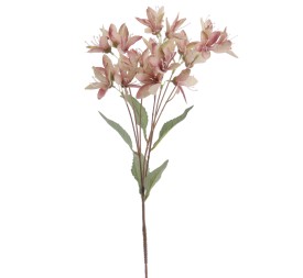 MINI LYLY 72 CMS (2082-06)