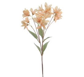 MINI LYLY 72 CMS