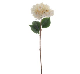 HORTENSIA 60 CMS (2085-01)
