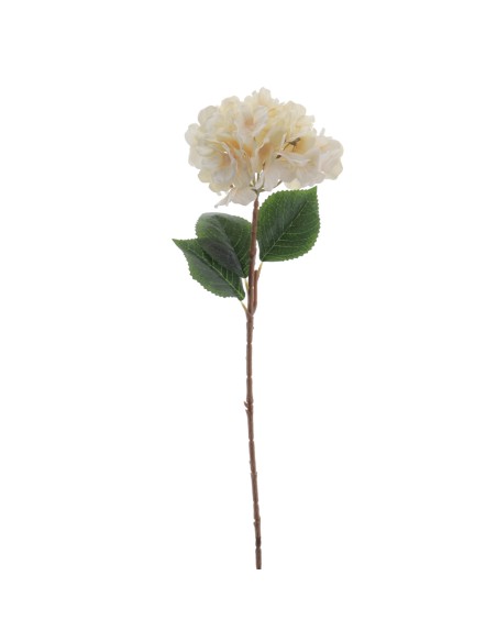 HORTENSIA 60 CMS (2085-01)