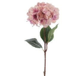 HORTENSIA 60 CMS (2085-06)