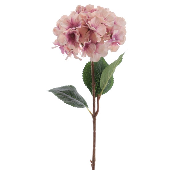 HORTENSIA 60 CMS (2085-06)