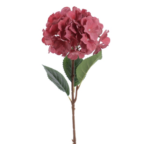 HORTENSIA 60 CMS (2085-07)