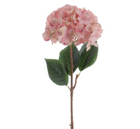HORTENSIA 60 CMS (2085-12)