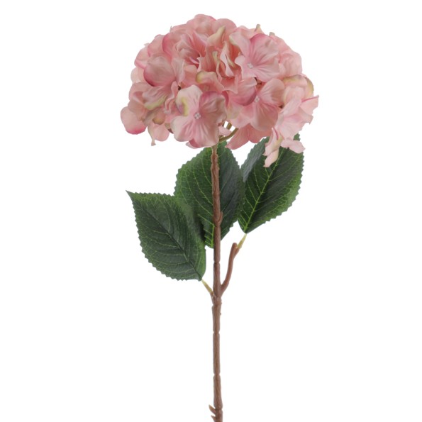 HORTENSIA 60 CMS (2085-12)