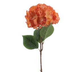 HORTENSIA 60 CMS (2085-14)