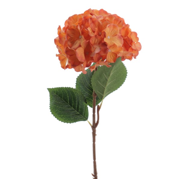 HORTENSIA 60 CMS (2085-14)