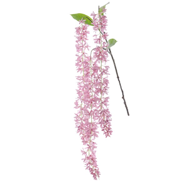 JAZMIN 140 CMS (2177-12)