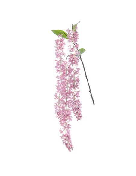 JAZMIN 140 CMS (2177-12)